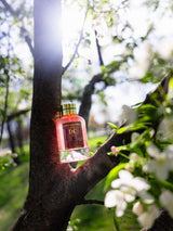 City Rhythm DC Extrait Parfum, 100 ml Bottle